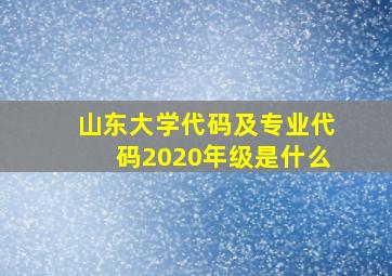 山东大学代码及专业代码2020年级是什么