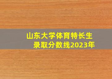 山东大学体育特长生录取分数线2023年