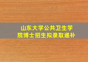 山东大学公共卫生学院博士招生拟录取递补