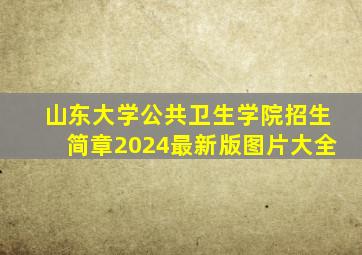 山东大学公共卫生学院招生简章2024最新版图片大全