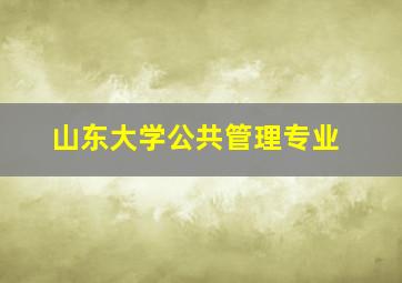 山东大学公共管理专业