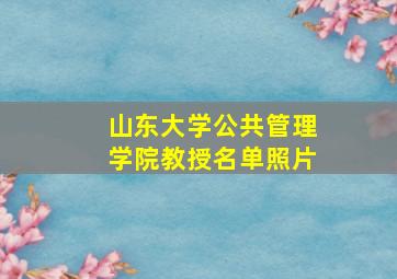 山东大学公共管理学院教授名单照片