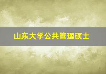 山东大学公共管理硕士