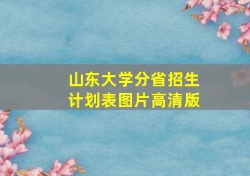 山东大学分省招生计划表图片高清版