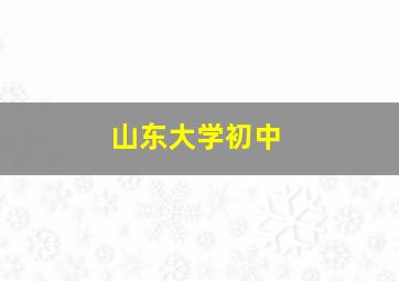 山东大学初中