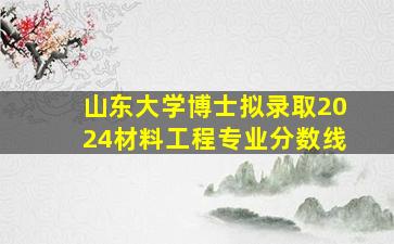 山东大学博士拟录取2024材料工程专业分数线