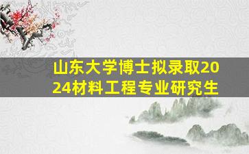 山东大学博士拟录取2024材料工程专业研究生