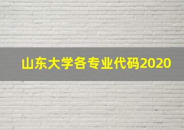 山东大学各专业代码2020