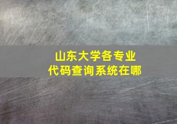 山东大学各专业代码查询系统在哪