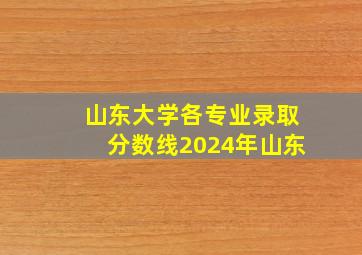 山东大学各专业录取分数线2024年山东