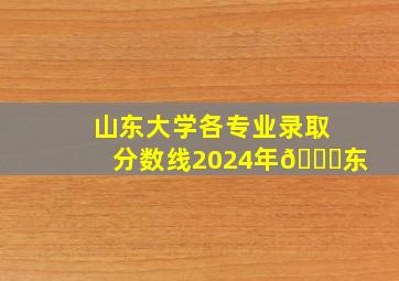 山东大学各专业录取分数线2024年📖东