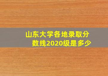 山东大学各地录取分数线2020级是多少