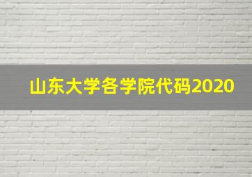 山东大学各学院代码2020