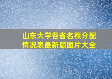 山东大学各省名额分配情况表最新版图片大全