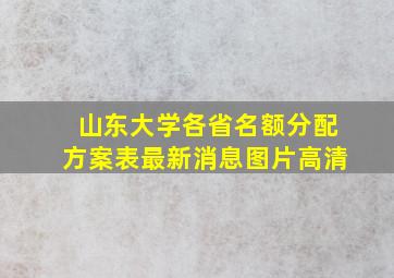 山东大学各省名额分配方案表最新消息图片高清