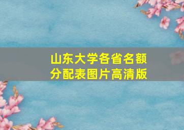 山东大学各省名额分配表图片高清版