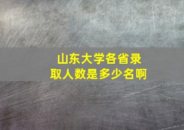 山东大学各省录取人数是多少名啊