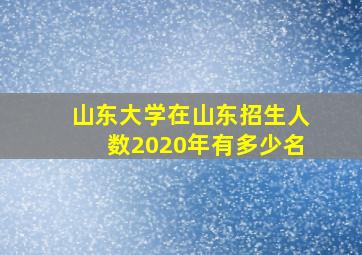 山东大学在山东招生人数2020年有多少名