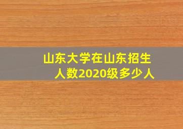 山东大学在山东招生人数2020级多少人