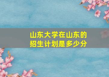 山东大学在山东的招生计划是多少分