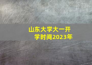 山东大学大一开学时间2023年