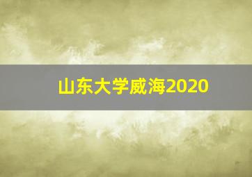 山东大学威海2020