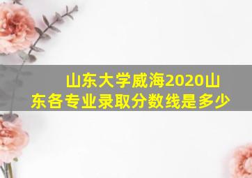 山东大学威海2020山东各专业录取分数线是多少