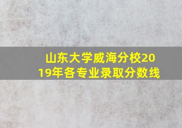 山东大学威海分校2019年各专业录取分数线