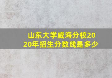 山东大学威海分校2020年招生分数线是多少