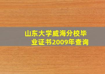 山东大学威海分校毕业证书2009年查询