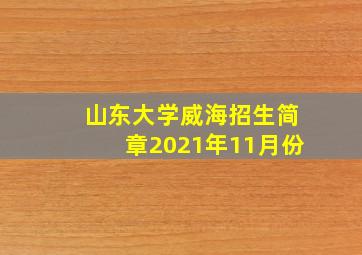 山东大学威海招生简章2021年11月份