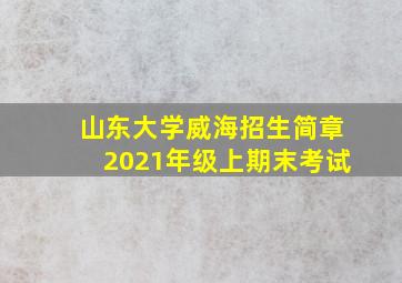 山东大学威海招生简章2021年级上期末考试