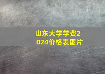 山东大学学费2024价格表图片