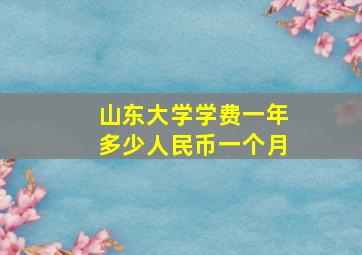 山东大学学费一年多少人民币一个月