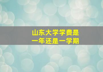 山东大学学费是一年还是一学期