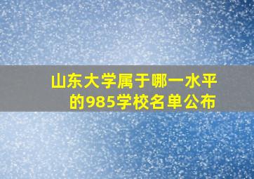 山东大学属于哪一水平的985学校名单公布