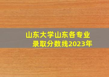 山东大学山东各专业录取分数线2023年