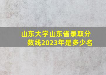 山东大学山东省录取分数线2023年是多少名