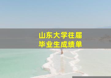 山东大学往届毕业生成绩单