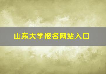 山东大学报名网站入口