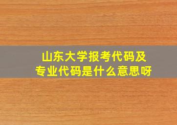 山东大学报考代码及专业代码是什么意思呀