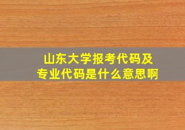 山东大学报考代码及专业代码是什么意思啊