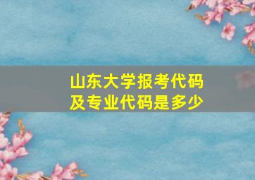 山东大学报考代码及专业代码是多少