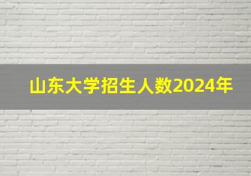 山东大学招生人数2024年