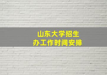 山东大学招生办工作时间安排