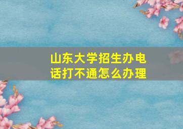 山东大学招生办电话打不通怎么办理