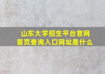 山东大学招生平台官网首页查询入口网址是什么