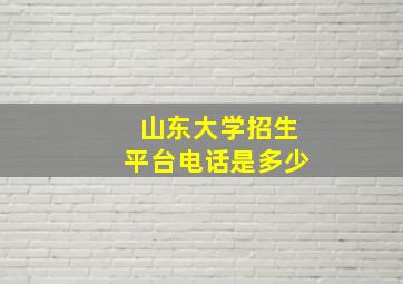 山东大学招生平台电话是多少