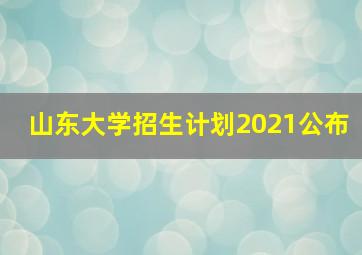 山东大学招生计划2021公布