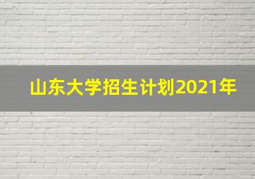 山东大学招生计划2021年